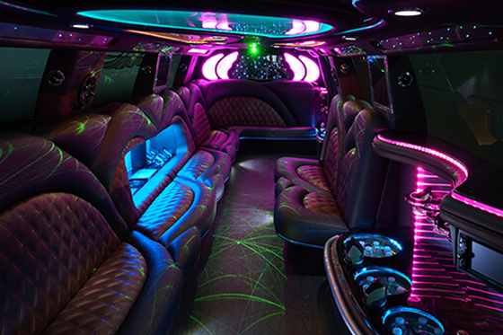 elite features in a limo